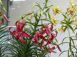 Foto: Dr. Peter Müller